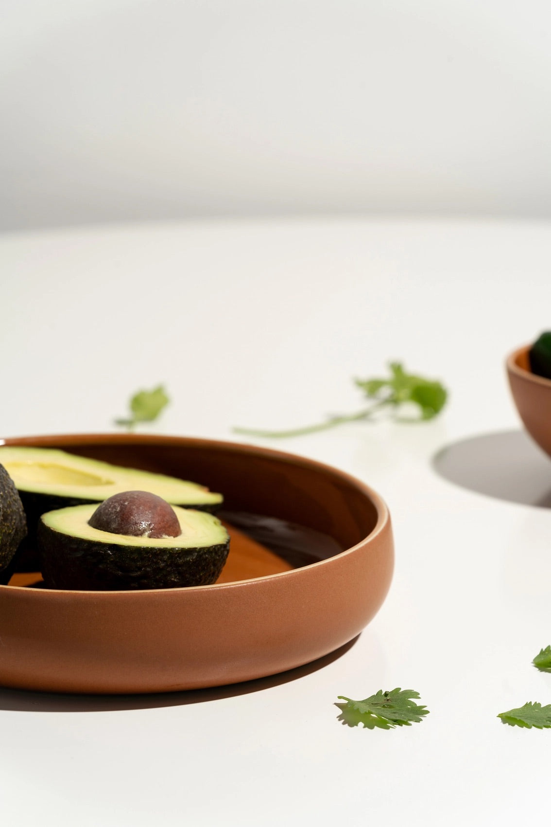 Stoneware Pasta Plate | Terracotta