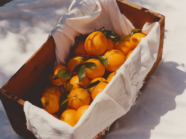 Marmalade Grove Ruby Valencia & Apricot Fruit Spread