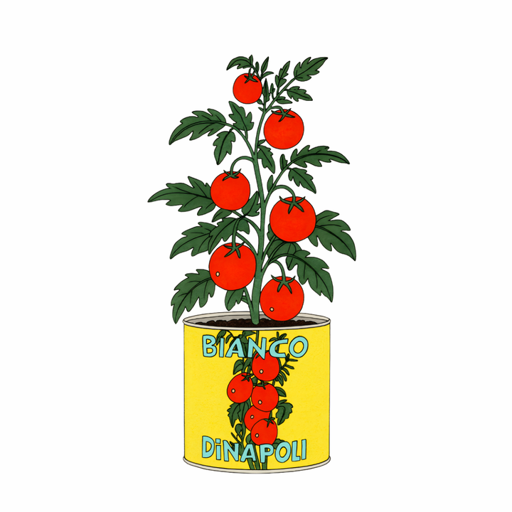 Bianco DiNapoli Tomato Plant Sticker – Foodie Illustration