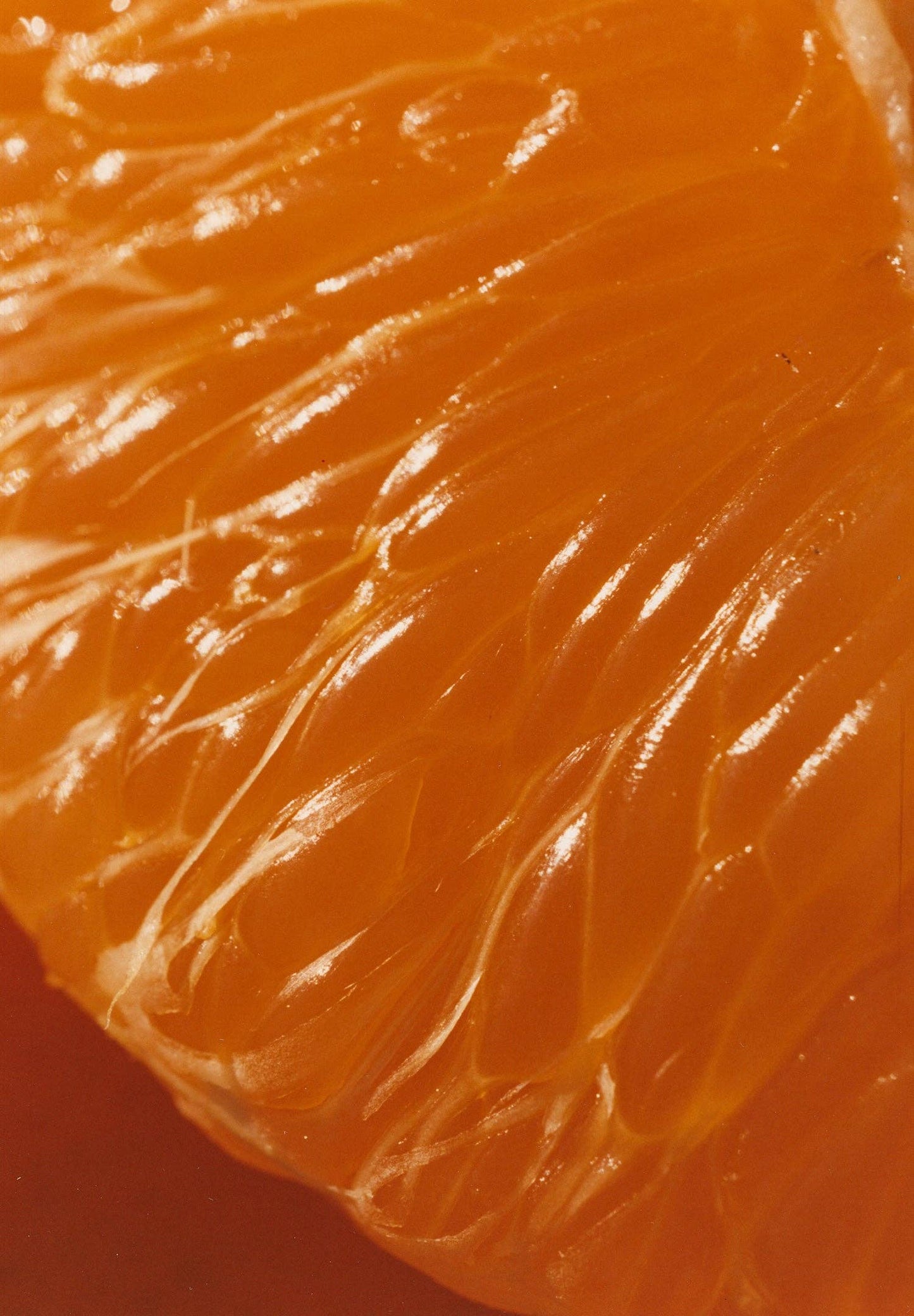 Marmalade Grove Ruby Valencia & Apricot Fruit Spread