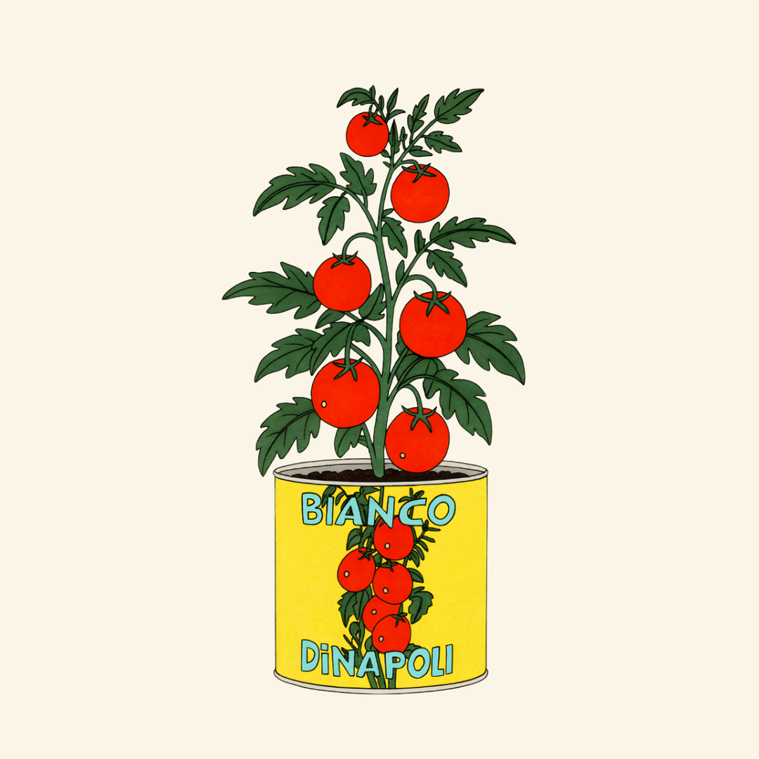 Bianco DiNapoli Tomato Plant Sticker – Foodie Illustration