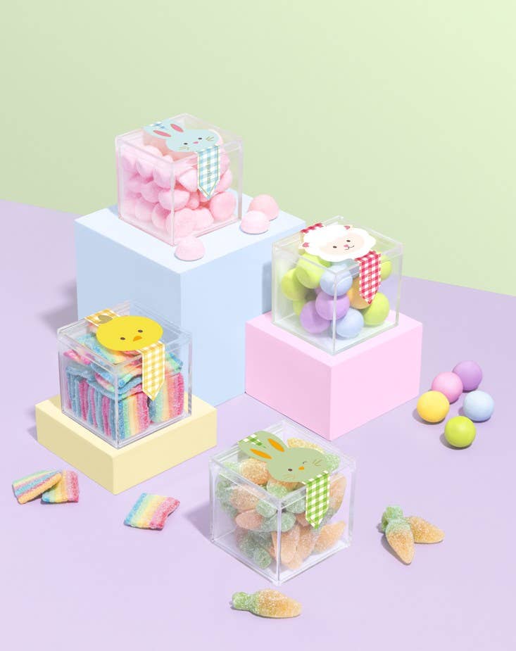 Chick - Sour Rainbows - Small (Easter 2026)