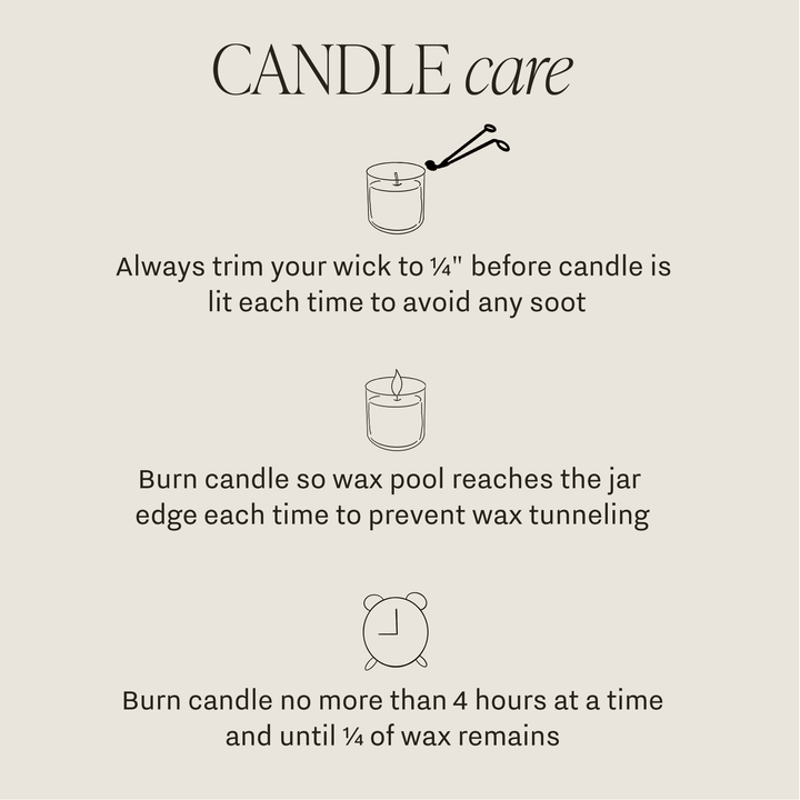 Holiday Cheer 9 oz Soy Candle - Christmas Decor