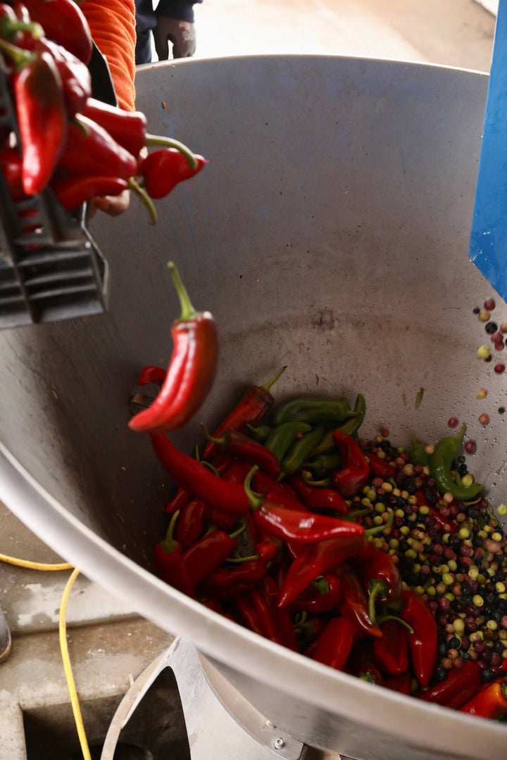 Cí Cí Chili Oil | Chili Meets Olive