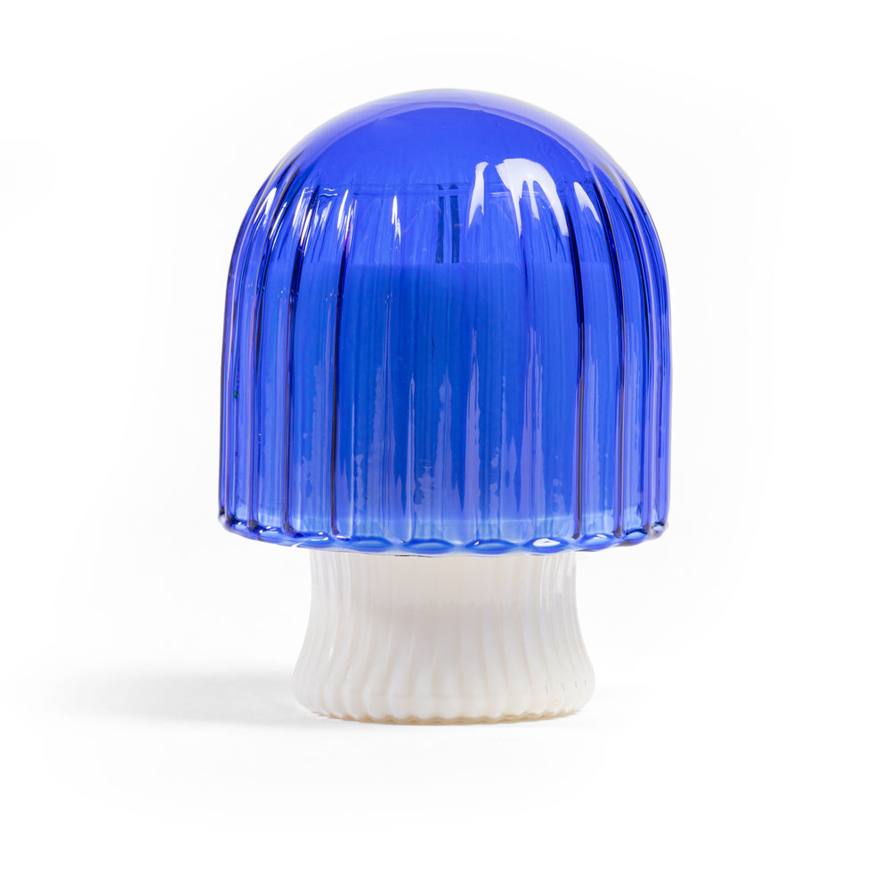SD Sea Salt Mushroom Candle