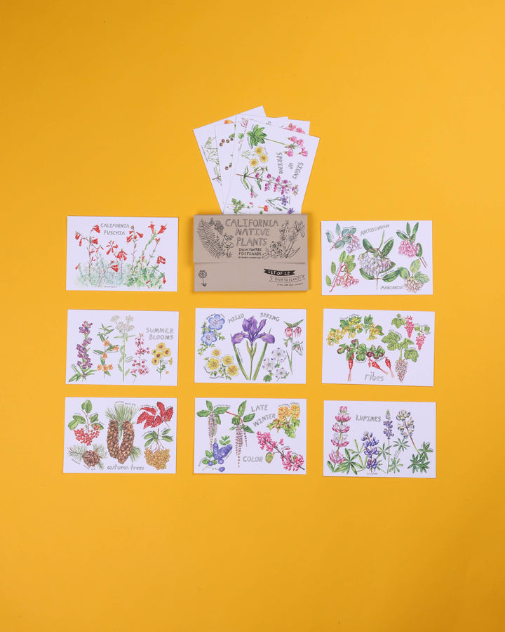 California Native Plants Postcard Set of 12